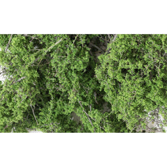 Woodland Scenics - Fine-Leaf Foliage™ Medium Green