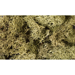 Woodland Scenics - Lichen Spring Green