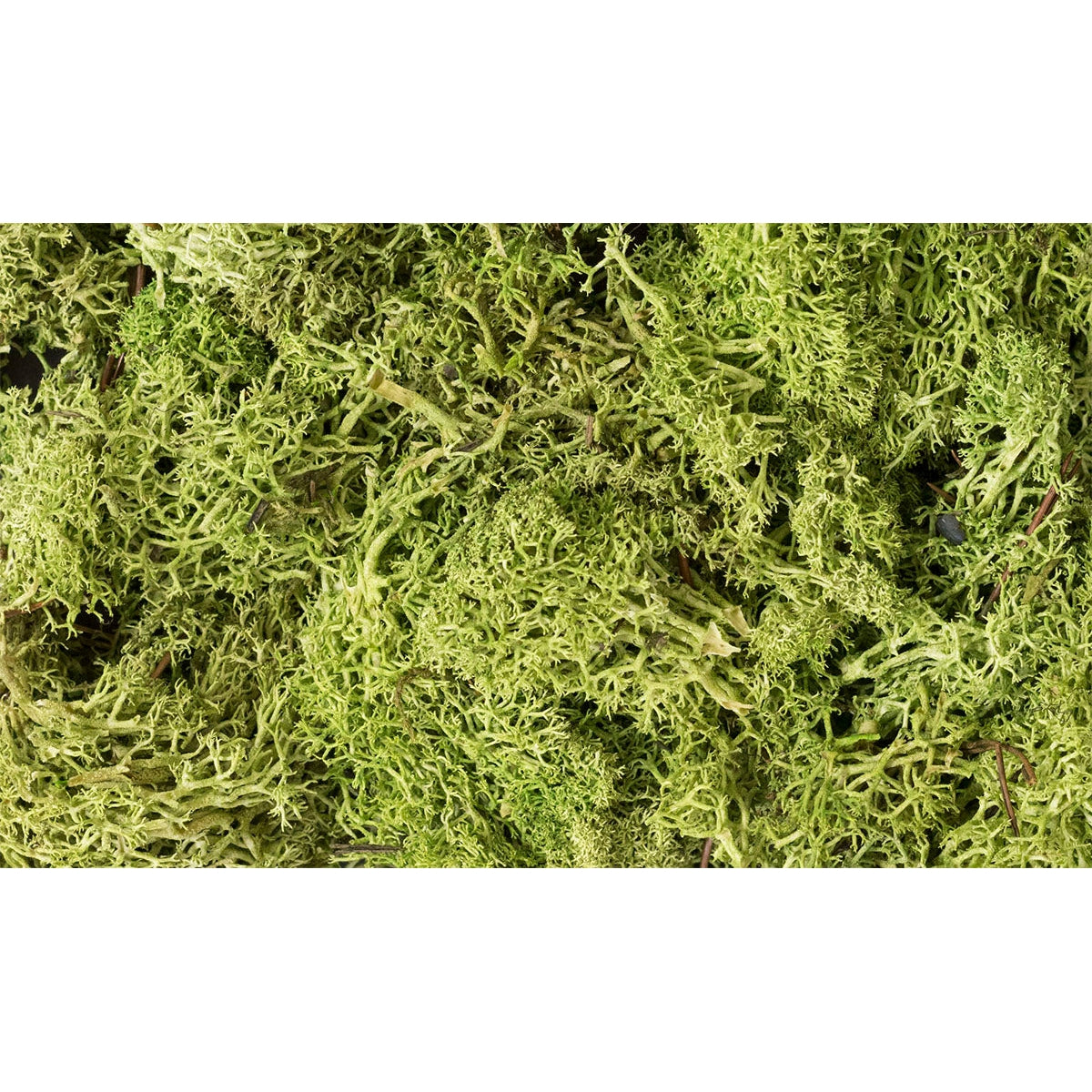 Woodland Scenics - Lichen Light Green