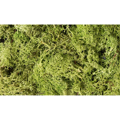Woodland Scenics - Lichen Light Green