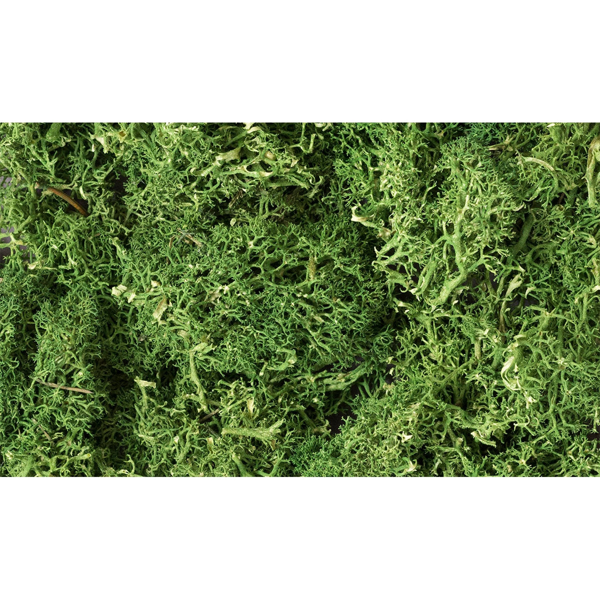 Woodland Scenics - Lichen Medium Green