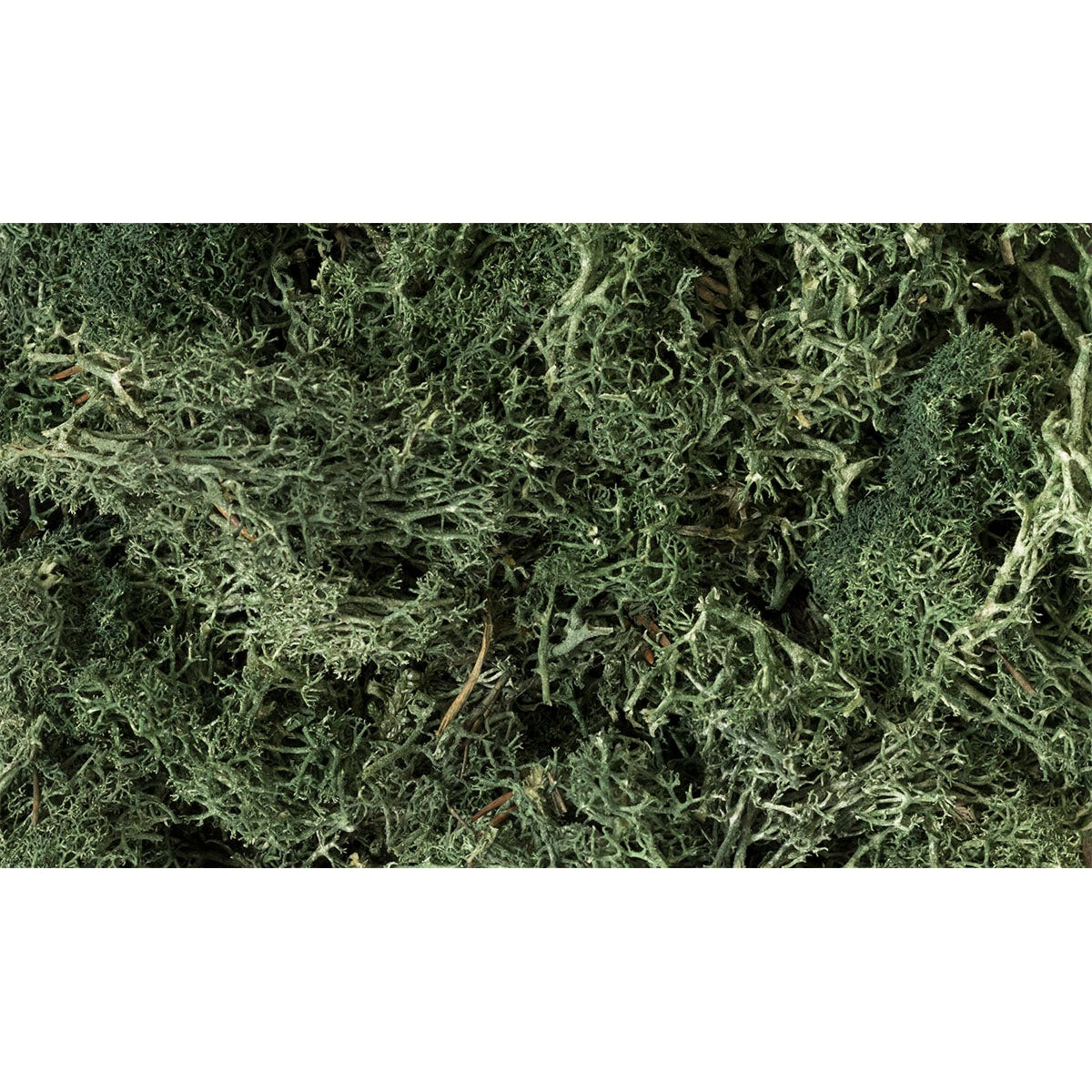 Woodland Scenics - Lichen Dark Green